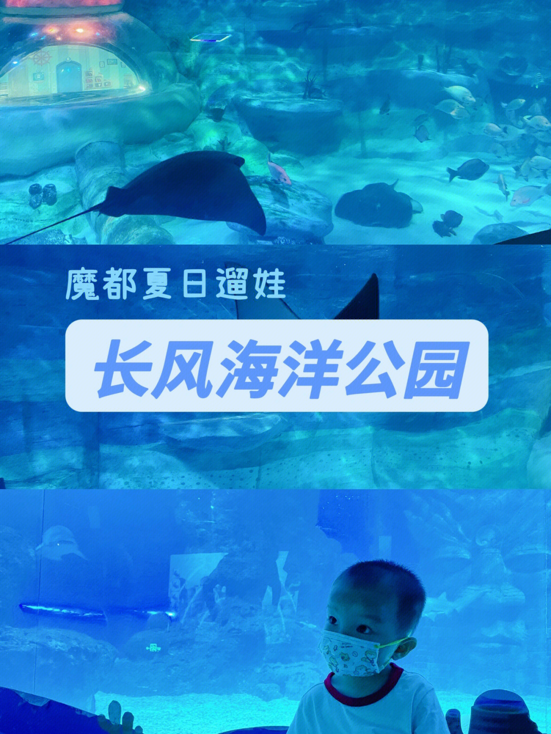 长风公园海洋馆年卡图片