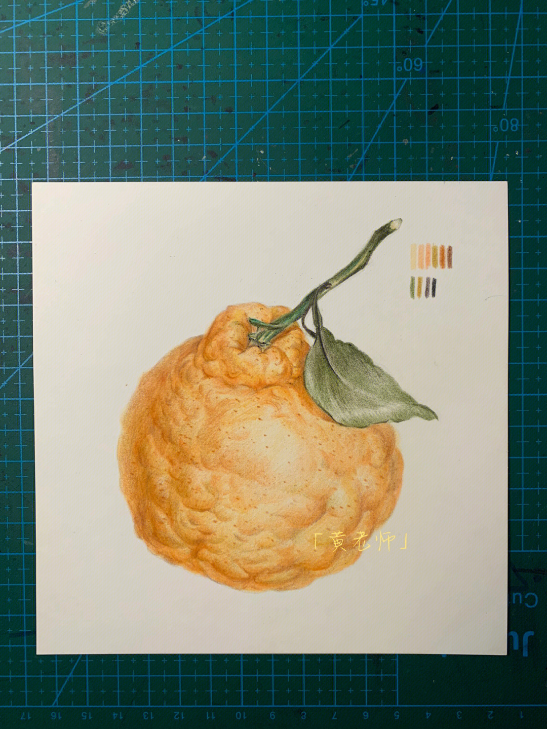 丑橘写生图图片