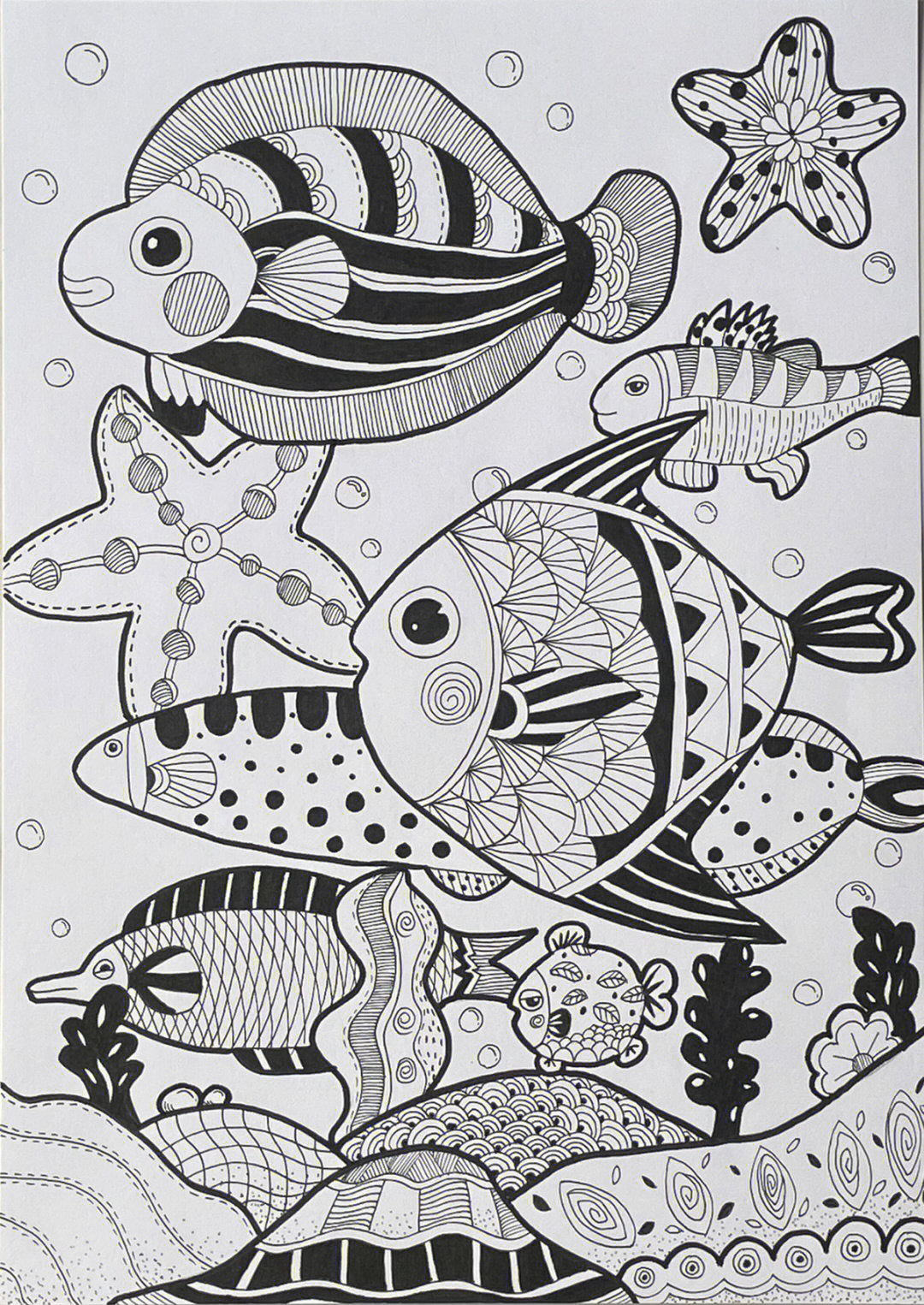 画的鱼的主题名字图片