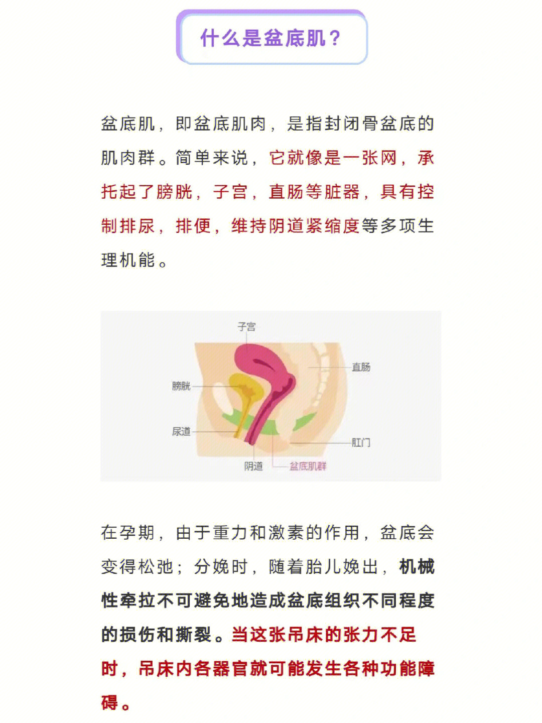 们忽略对自己的产后康复结果往往会导致阴道松驰,子宫脱垂,尿失禁