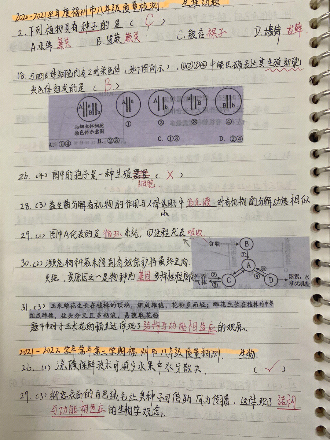 七年级纠错本内容图片图片