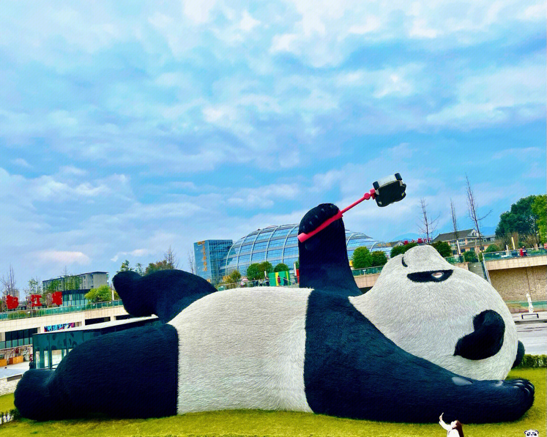 都江堰自拍熊猫造价图片