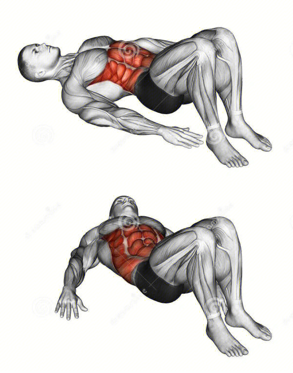 30张腹肌训练图谱告诉你腹肌各部位怎么练