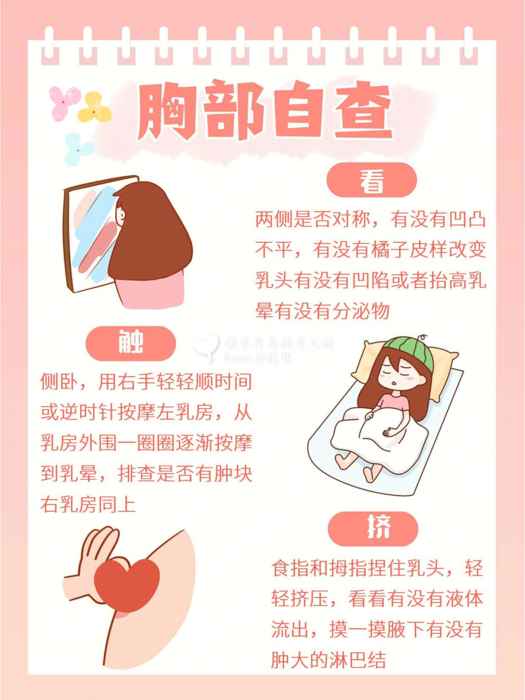 乳房正常起来摸着图片