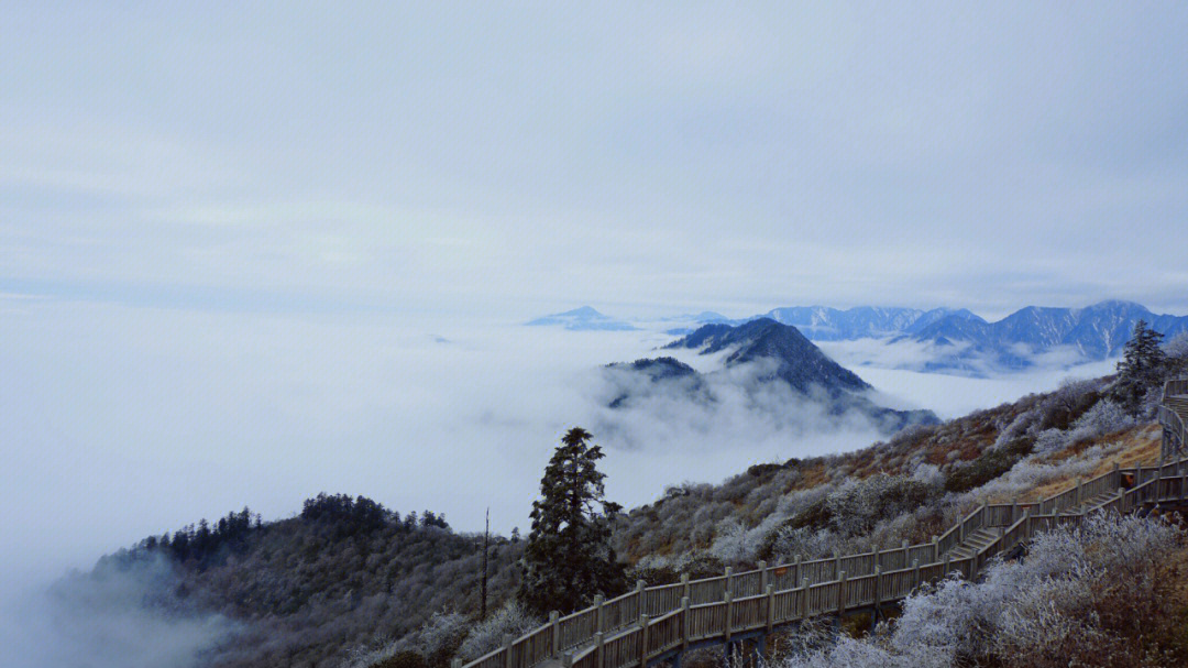 西岭雪山没有雪