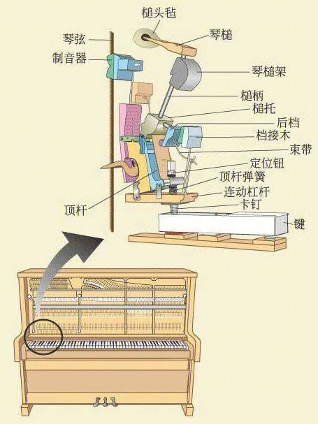 立式钢琴结构图