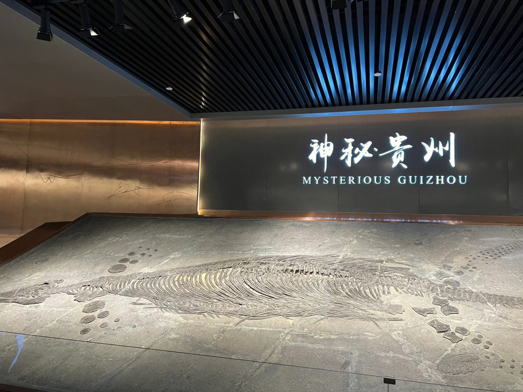 贵州地质博物馆内容图片