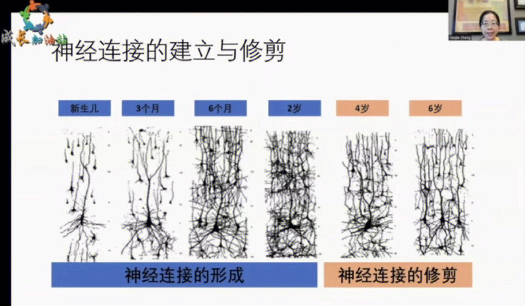 08在孩子大脑发育的关键期,给予到正确的引导加上脑部营养的强化