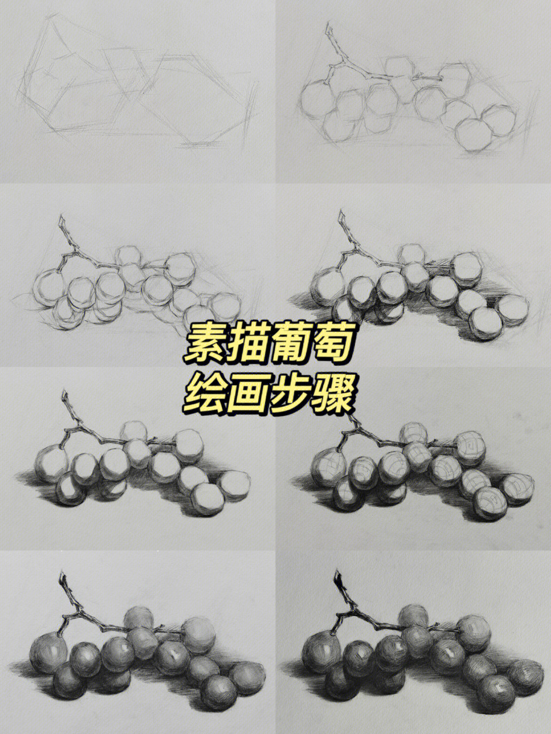 葡萄结构图素描图片