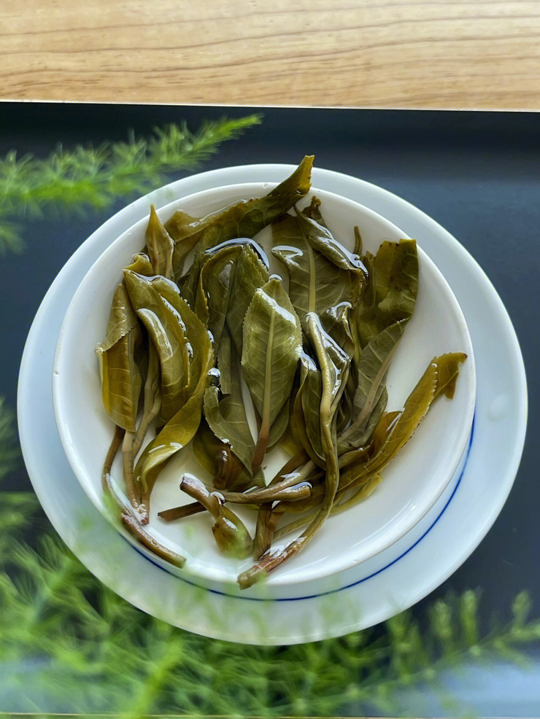 茶#茶饮#生茶#茶#春茶#古树春茶#小户赛#小户赛古树茶