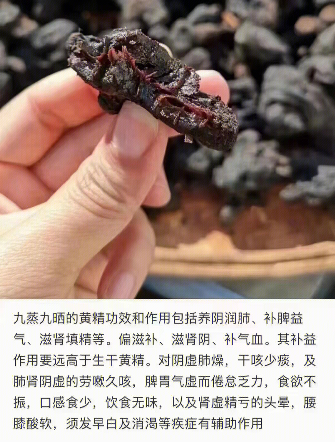 黄枝有什么功效和作用图片