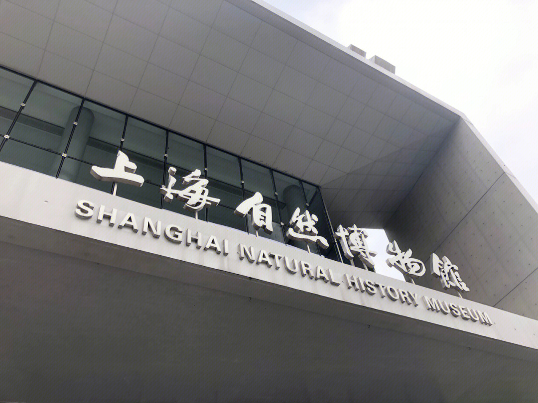 上海市自然博物馆地址图片