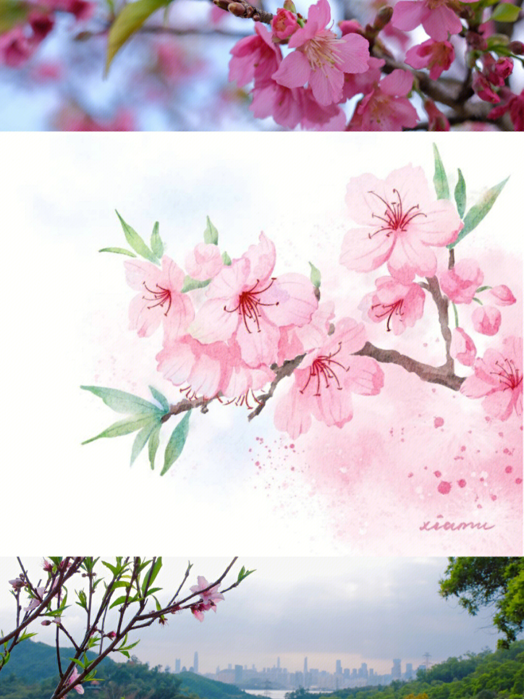 水彩画桃花步骤图片