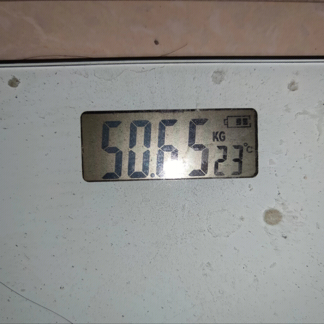 1585345kg目标45kgday31