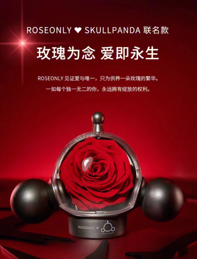 roseonly见证爱与唯一,只为供养一朵玫瑰的繁华