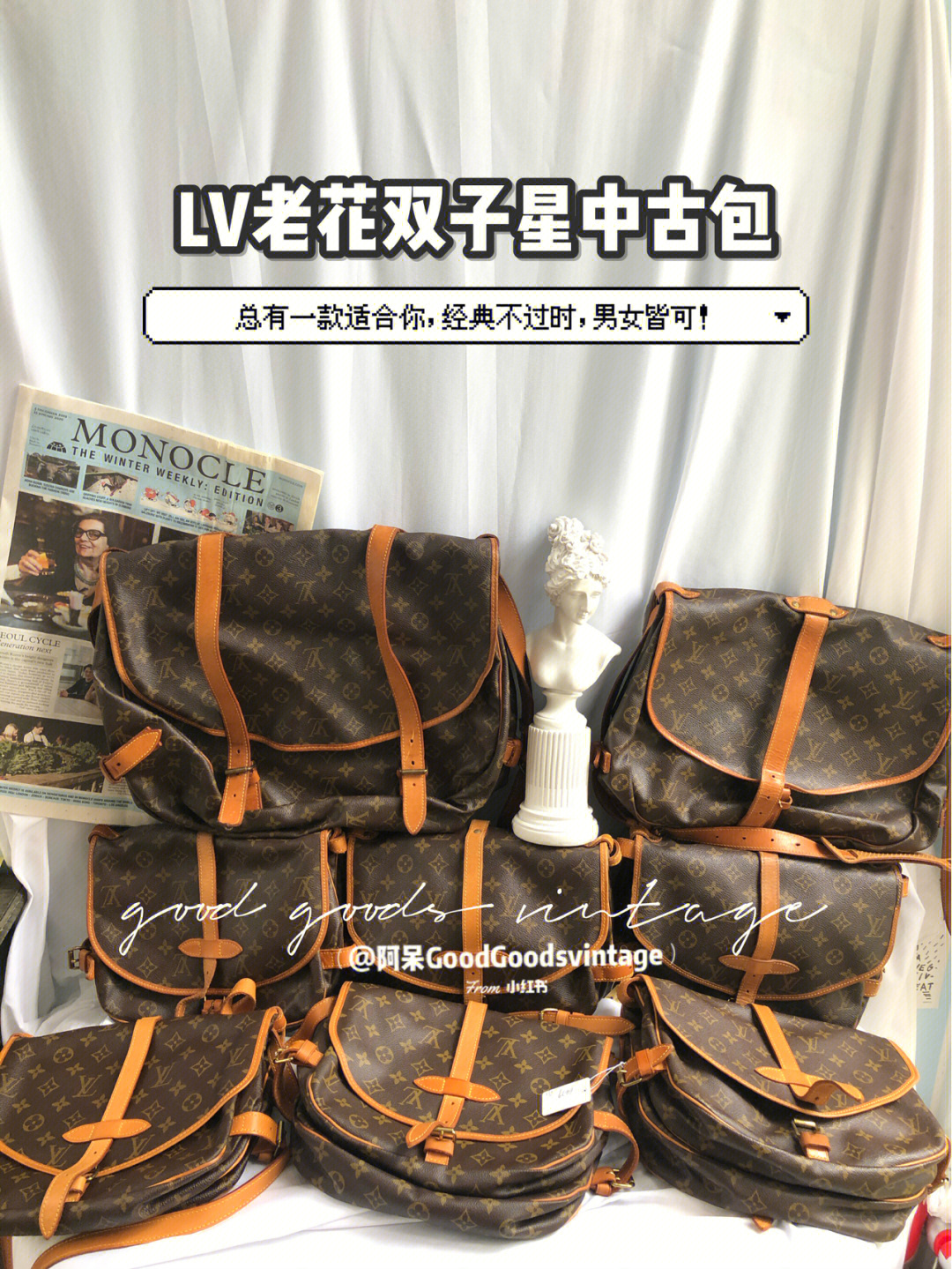 lv老花双子星中古包