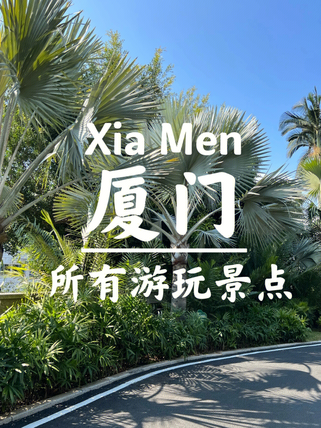 厦门旅游攻略