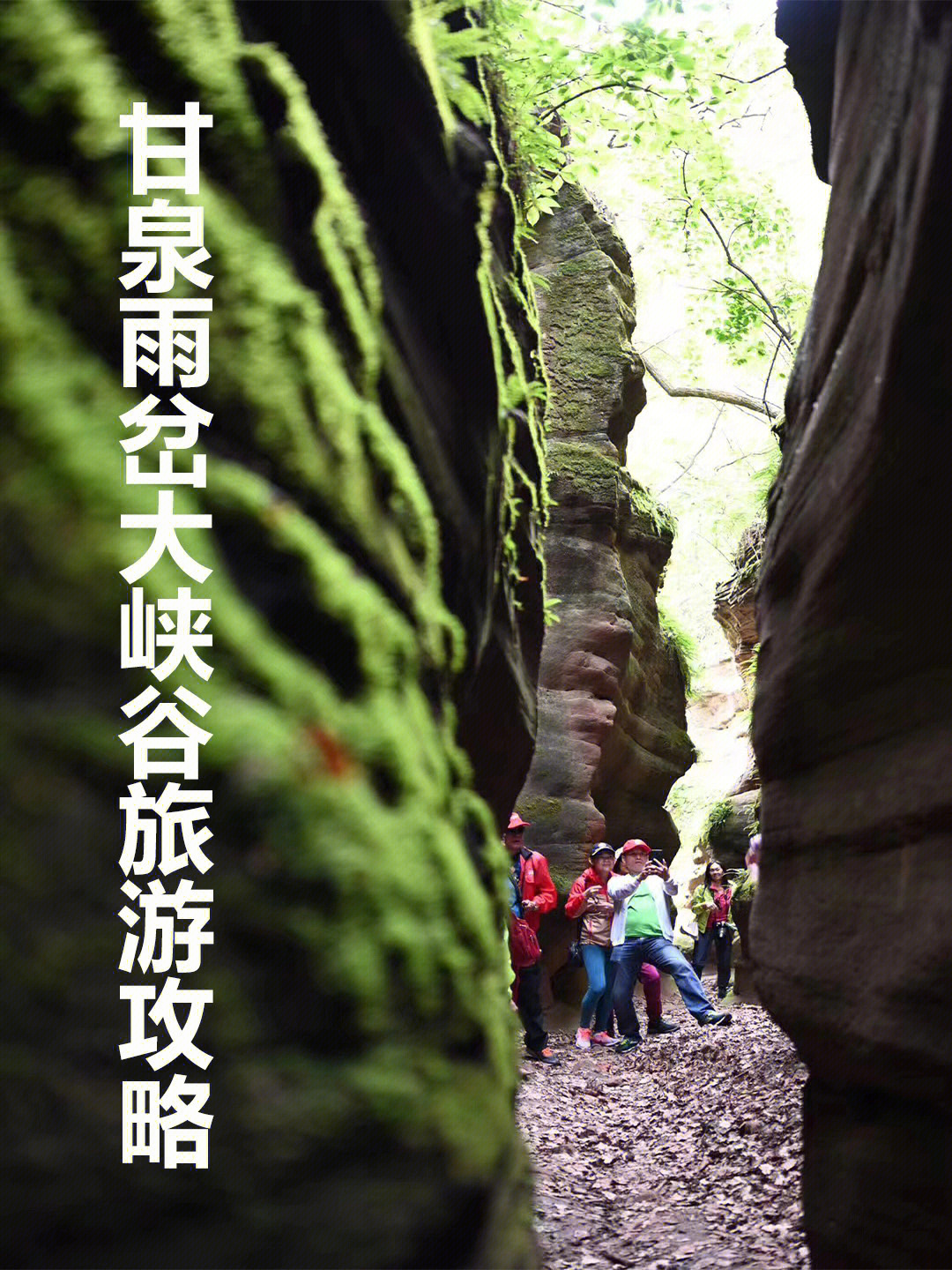 雨岔大峡谷门票图片