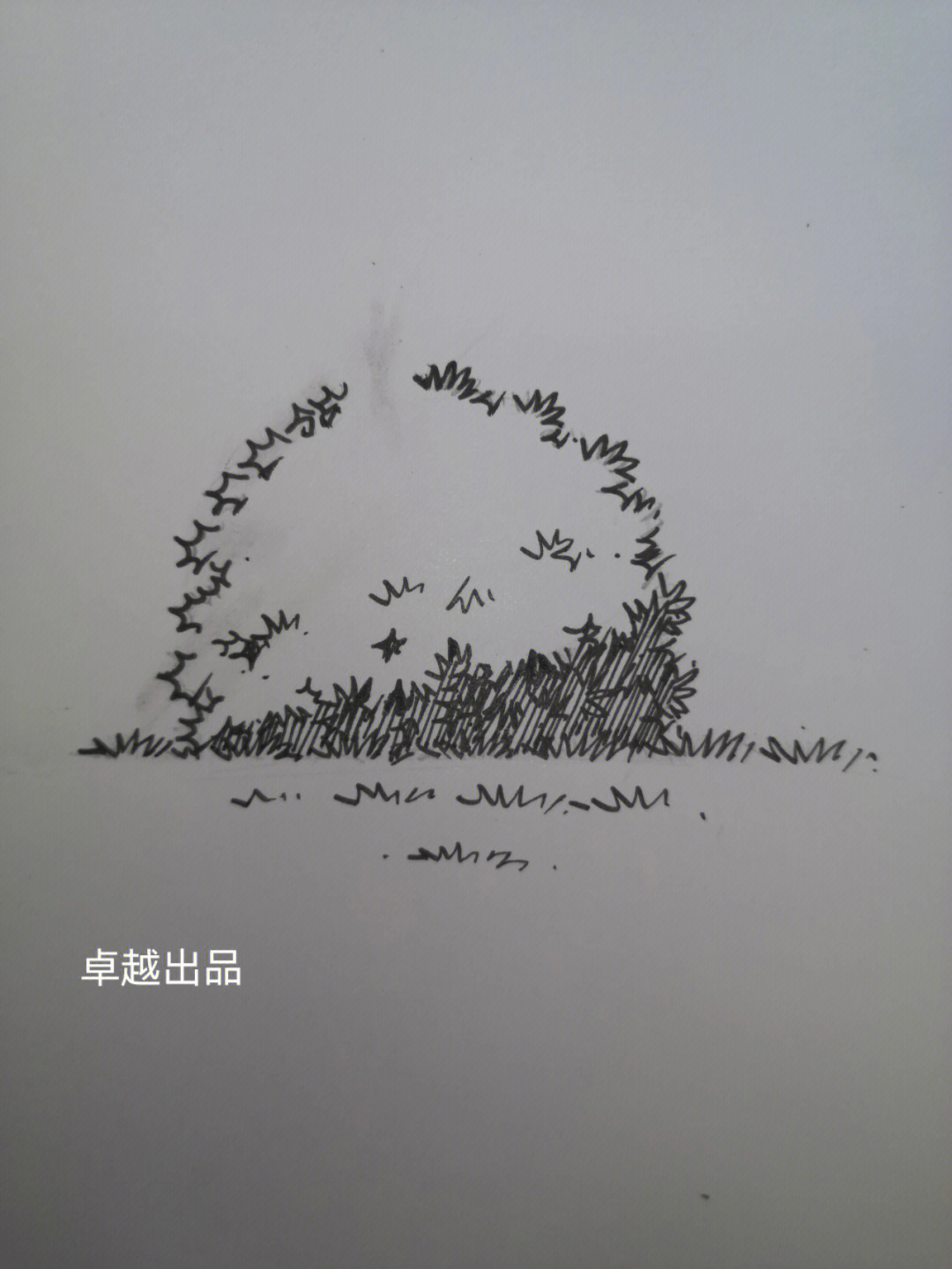 灌木丛手绘画法图片