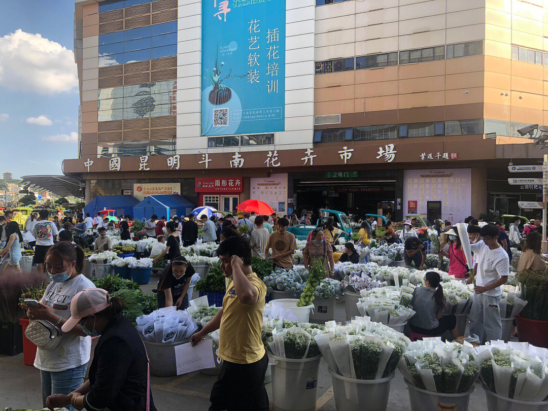 高碑店花卉市场图片