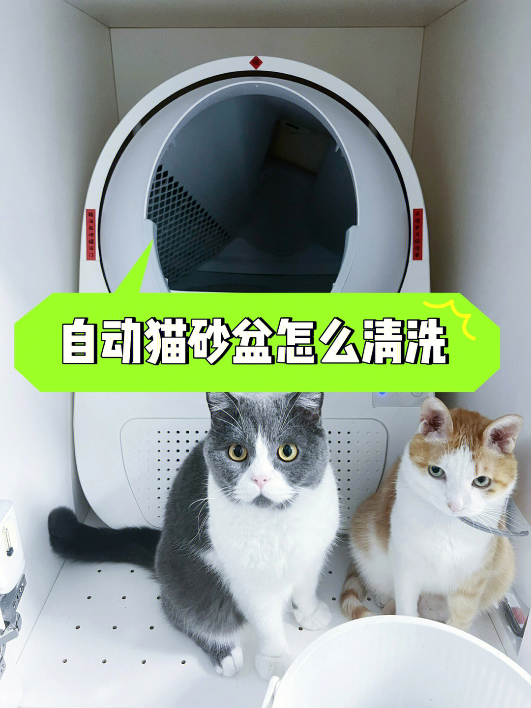 自动猫砂盆原理图片