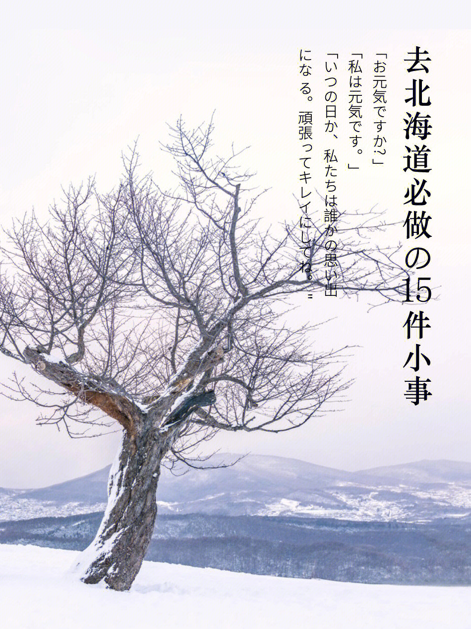 日本旅行去北海道必做的15件小事