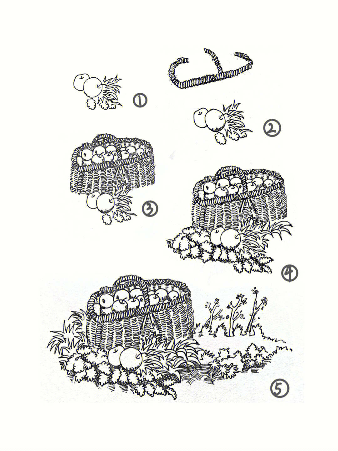 水果篮速写图片