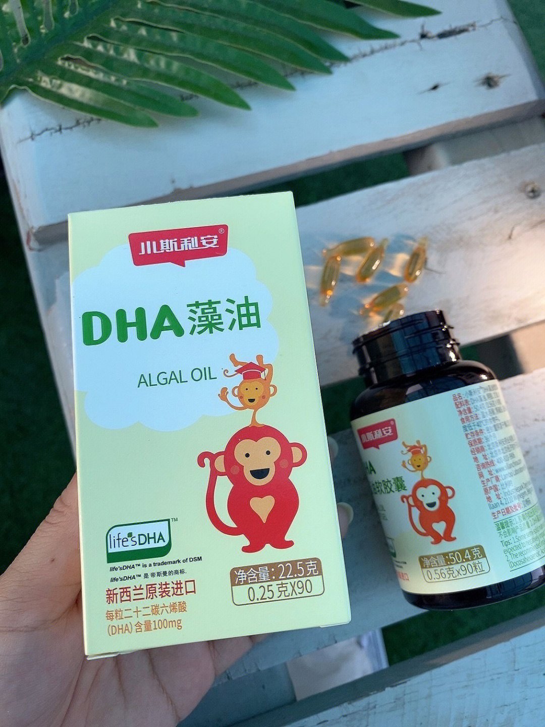 斯利安倍益牌dha图片