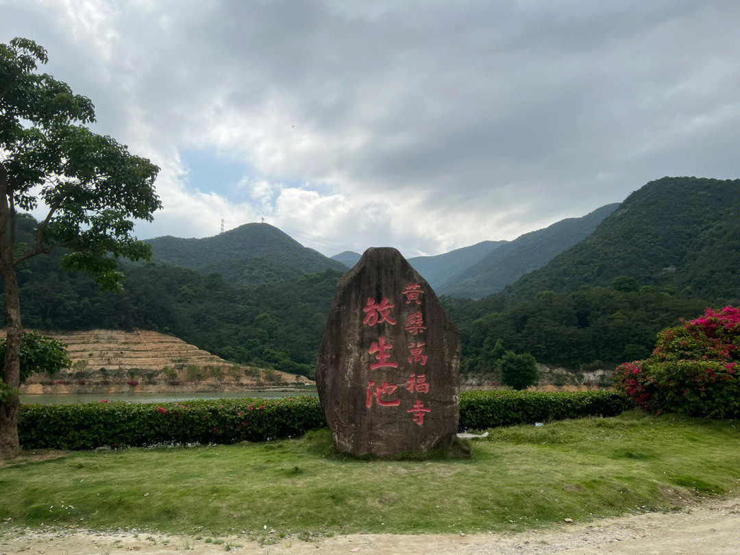 万福寺绝对是最值得一去的寺庙