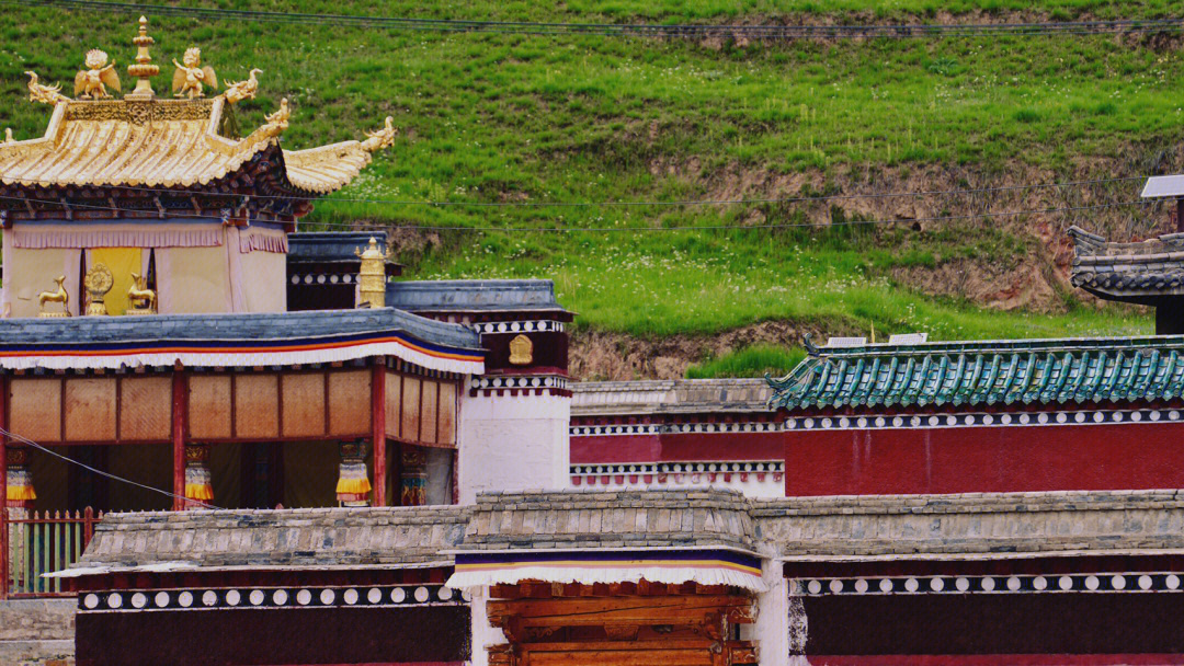 夏河尼姑寺图片