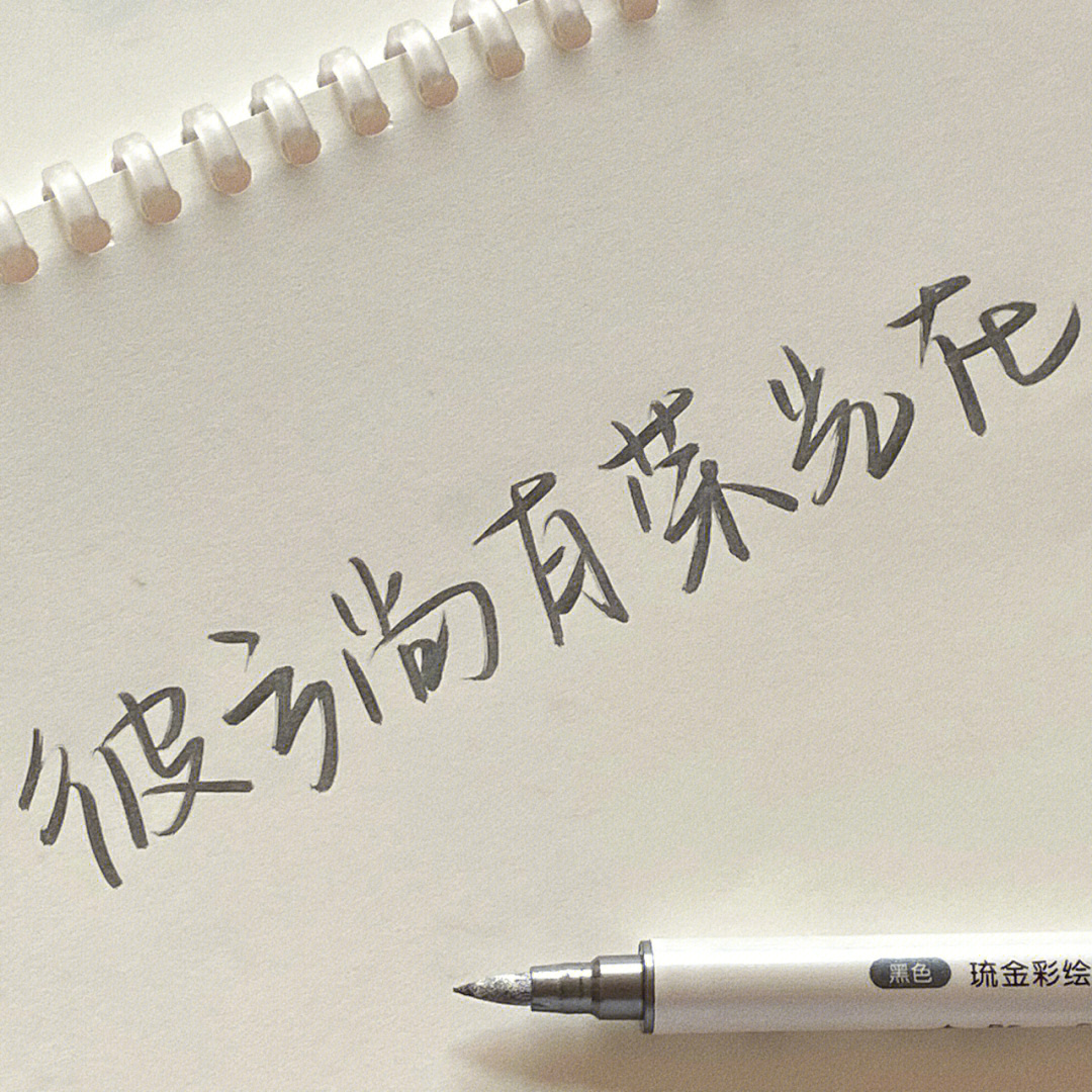 练字记34"彼方尚有荣光在"