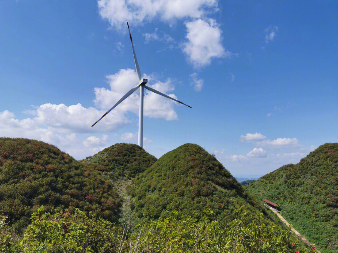 洪关太阳坪