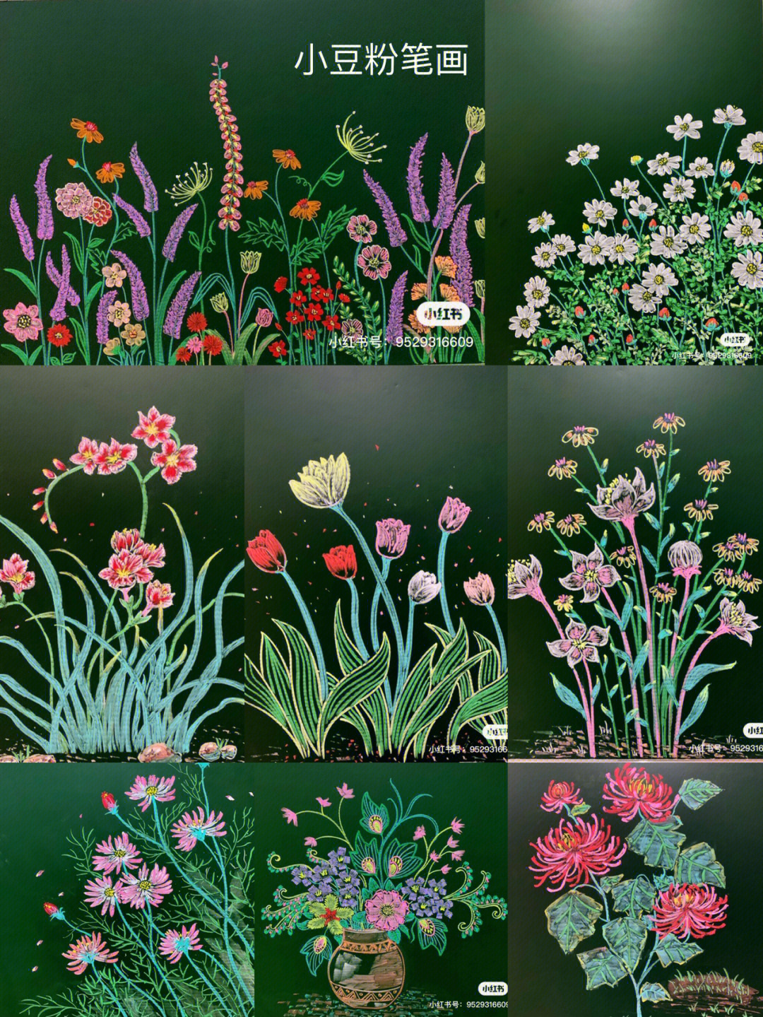 粉笔画各种花的画法图片