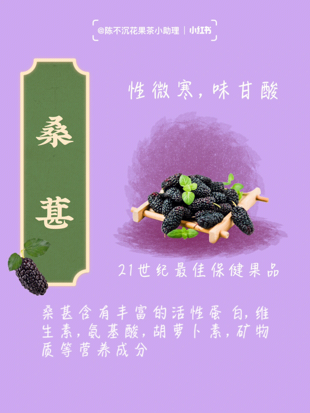 桑葚的功效和禁忌桑葚泡水如何搭配
