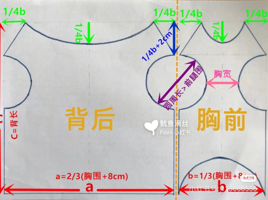 泰迪的衣服详细裁剪图图片