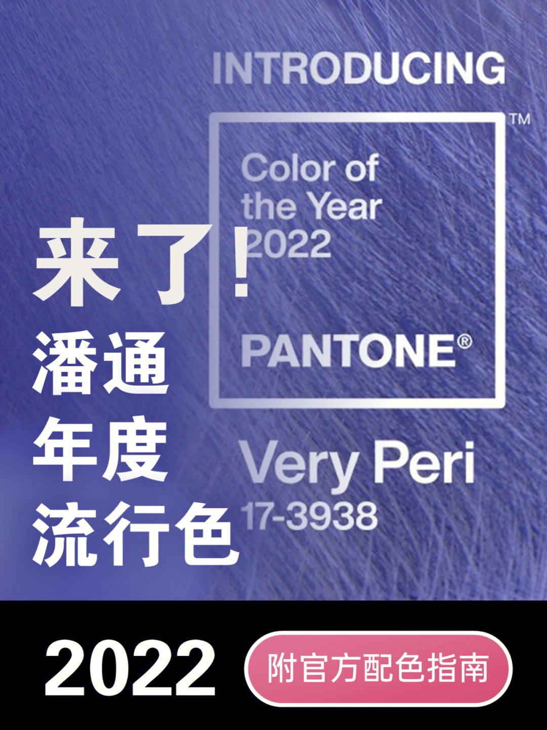 来了潘通2022年度代表色长春花蓝