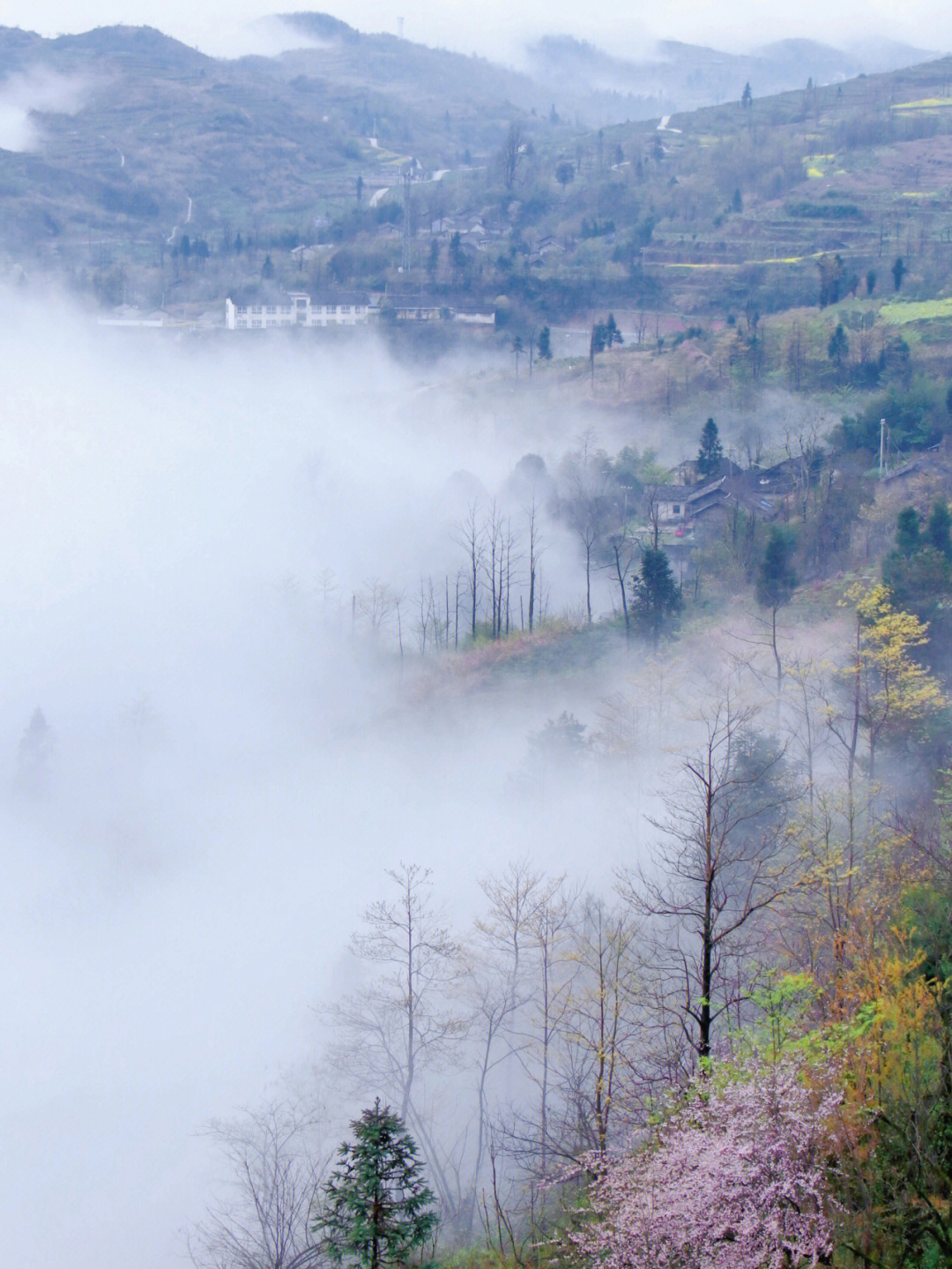 重庆市秀山县风景图片