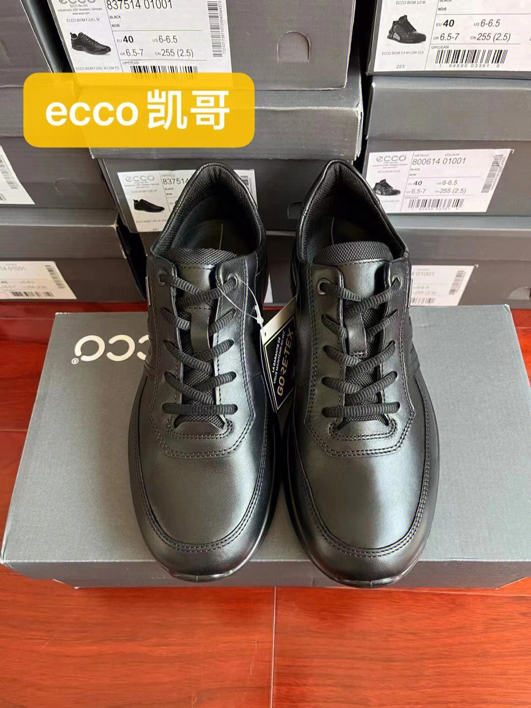 ecco欧文