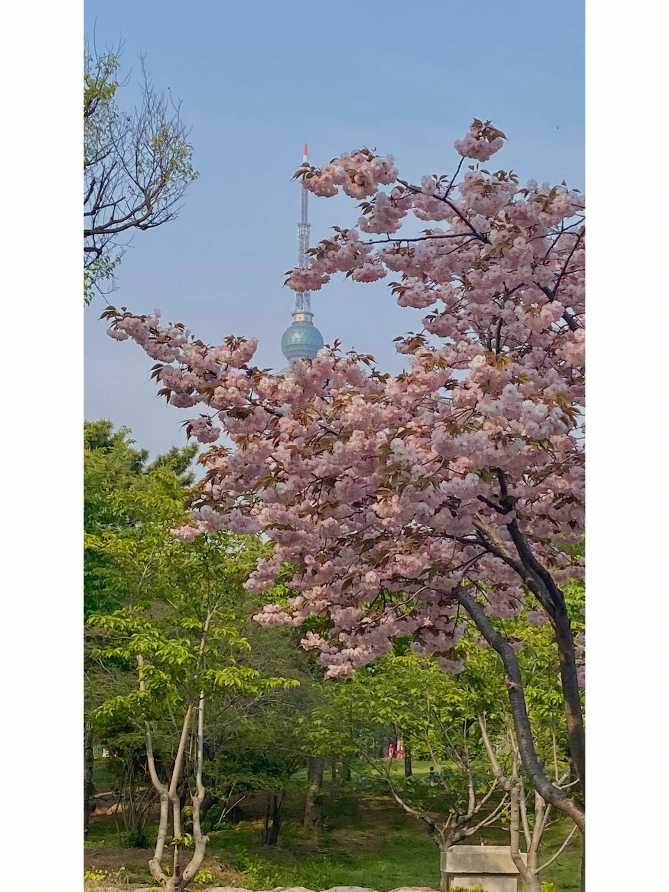 春日来信美文图片