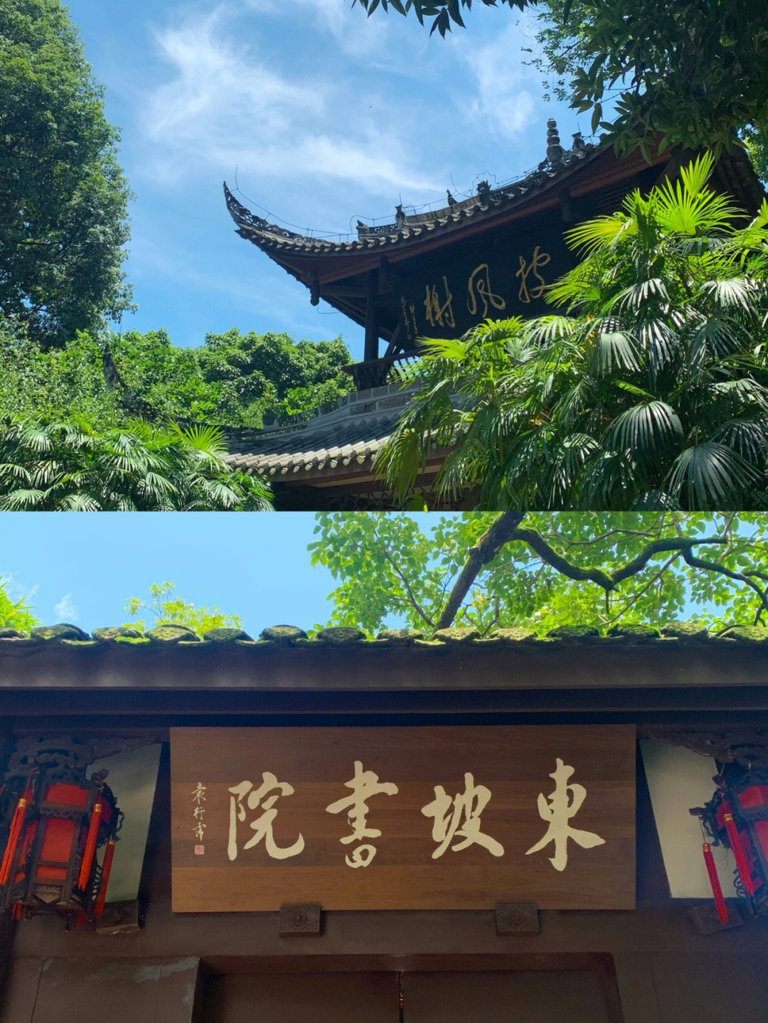 特别是三苏祠,我在海南儋州见过东坡书院,眉山是苏轼的故乡,自然是大