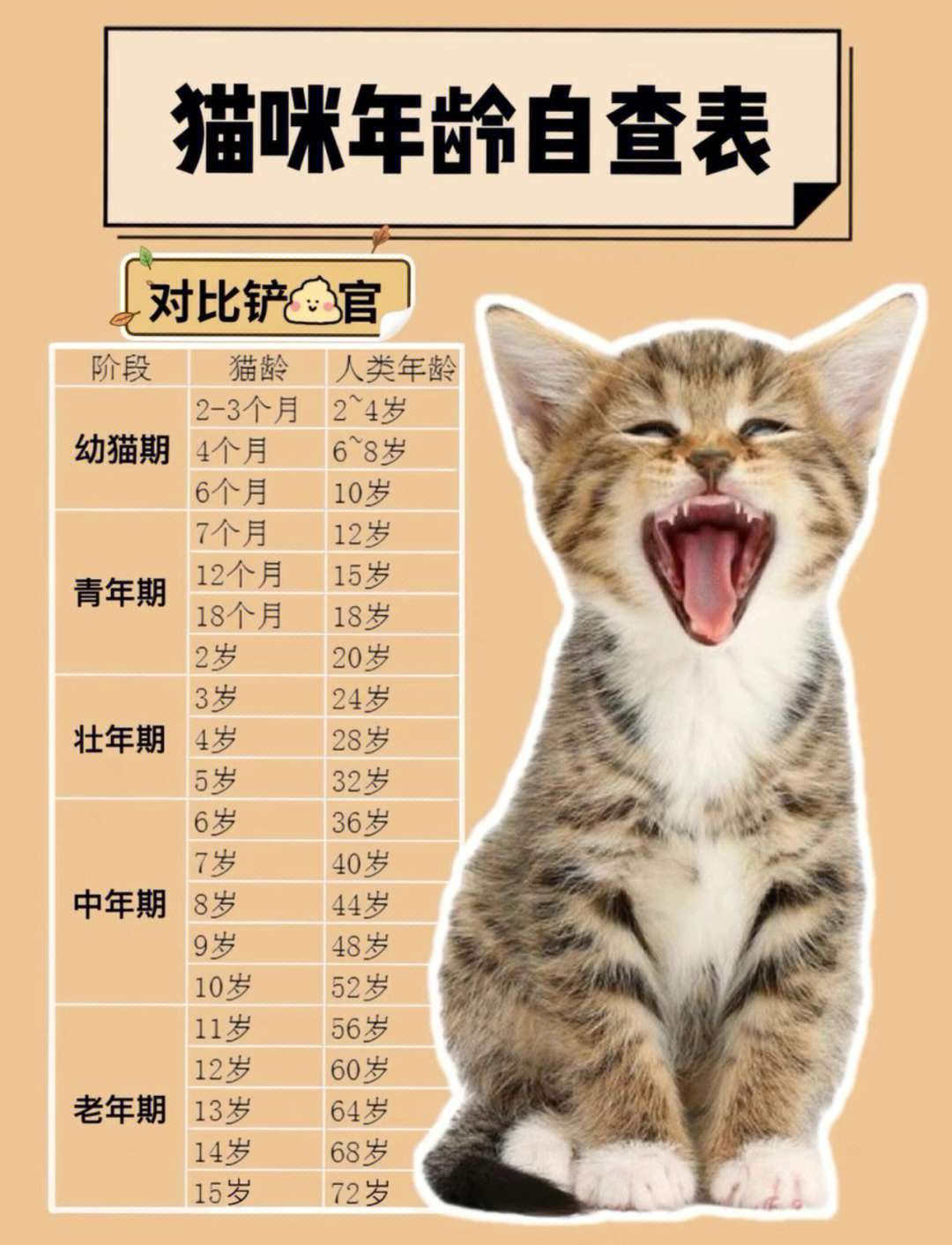 猫咪1岁并不等于人类7岁,下面就奉上猫咪和人类的最新年龄对照表,请好