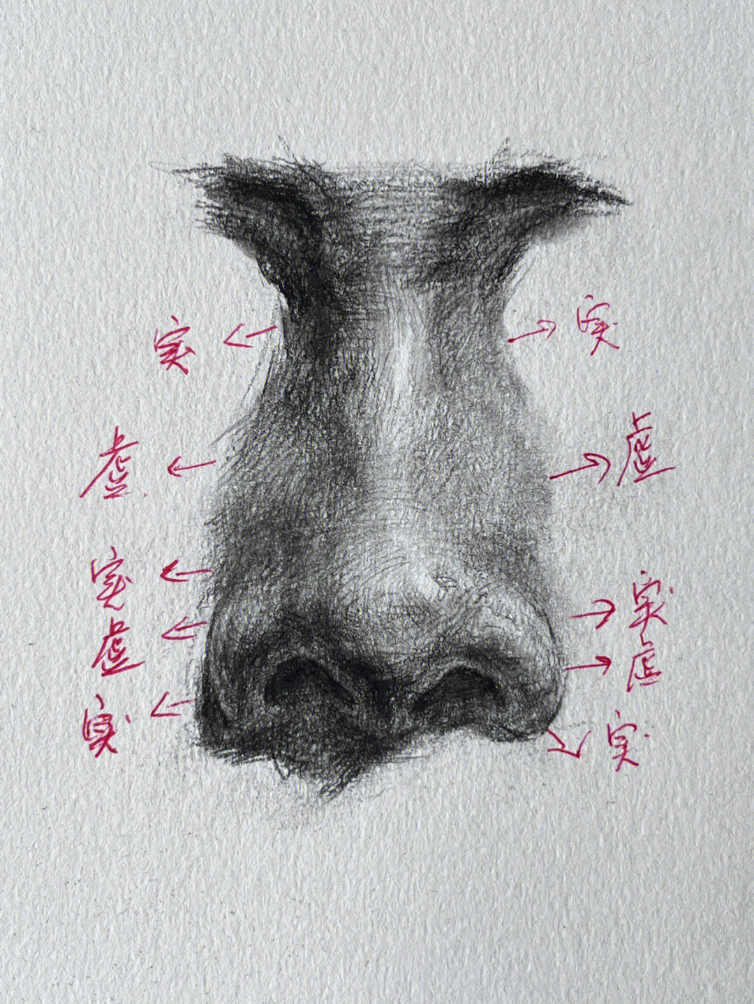 鼻子在画的时候注意鼻球与鼻翼的比例16615:默写的时候要统一光源