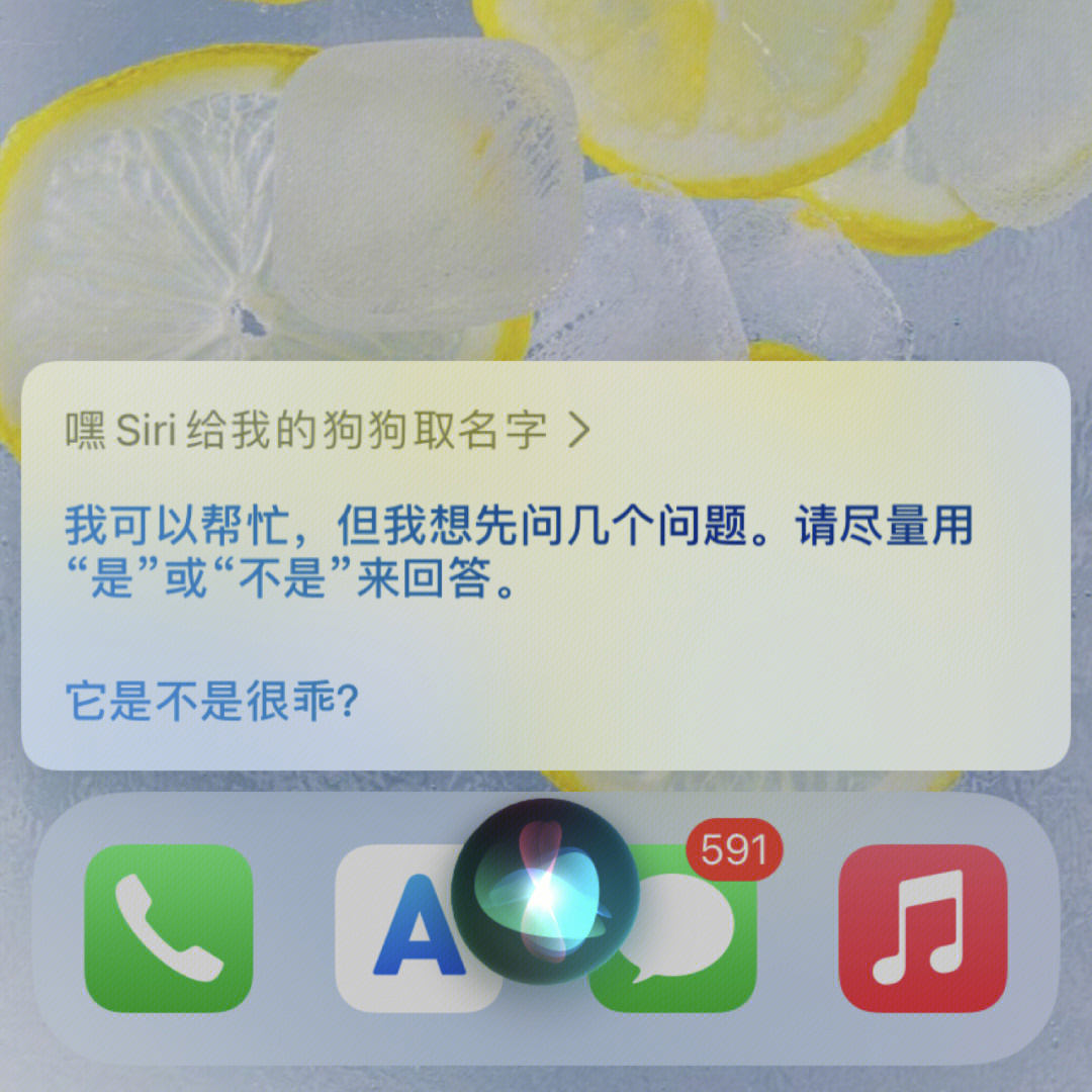 恶搞siri 方法图片