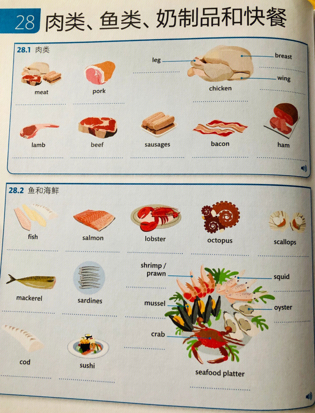 关于大鱼大肉们的英语单词