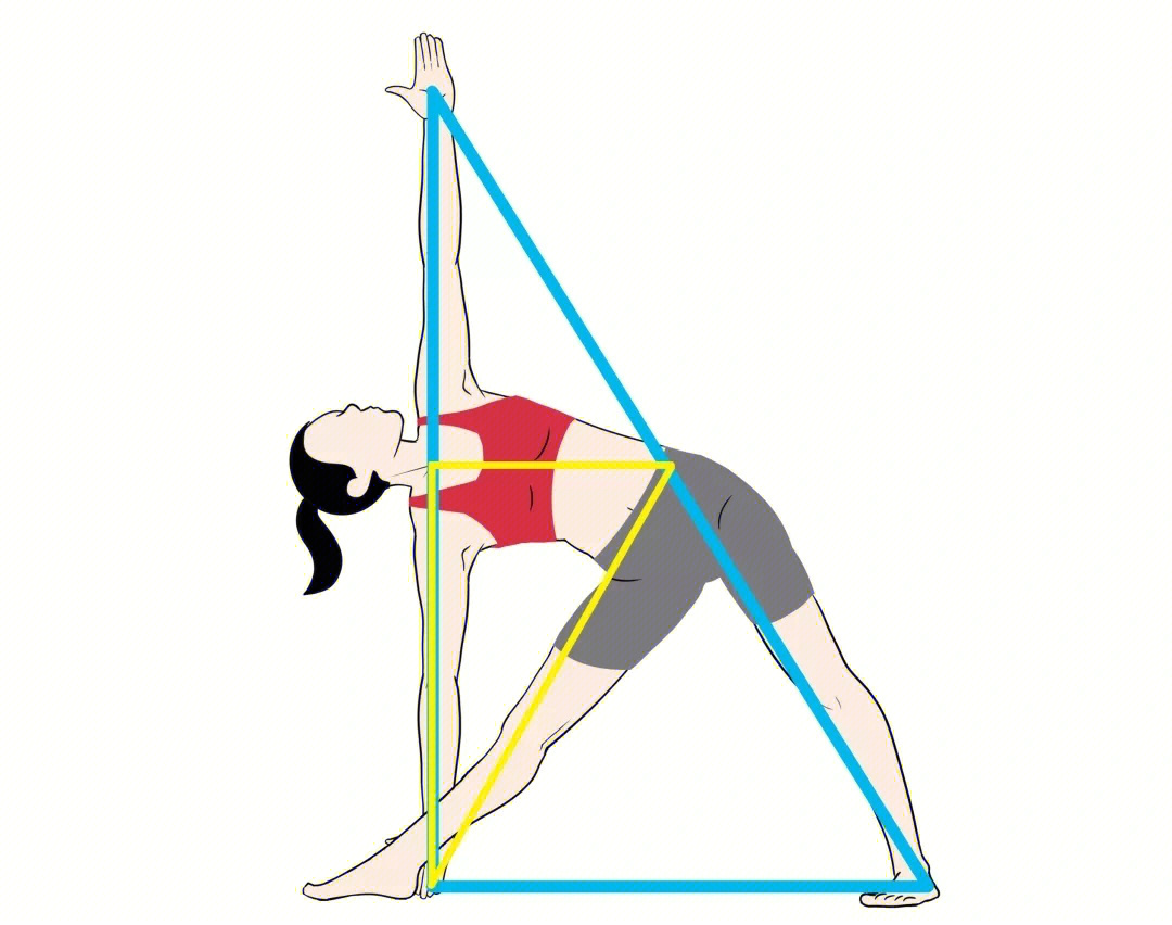练瑜伽勾勒出三角区图片
