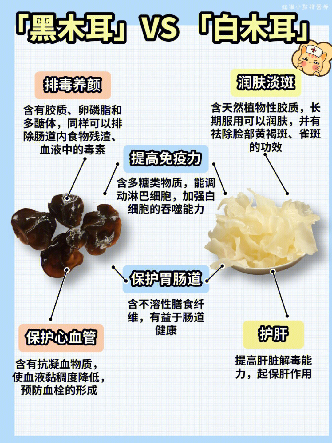 木耳营养成分表100克图片