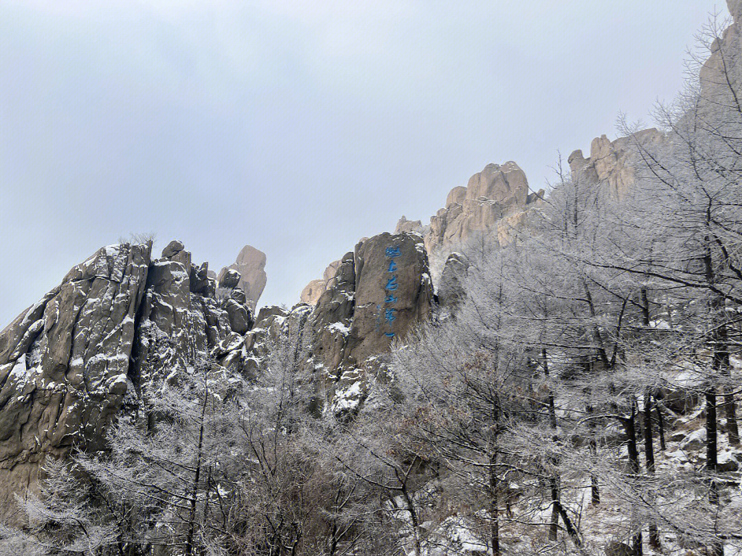 96"白雪确嫌春色晚,欲穿庭树作飞花,2月14日,青岛崂山巨峰游览区和