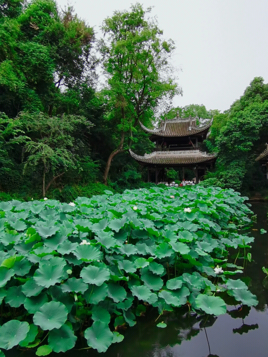 三苏祠洗砚池图片