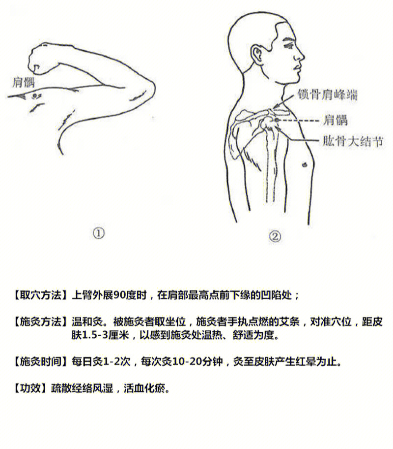 董氏针灸肩峰位置图片