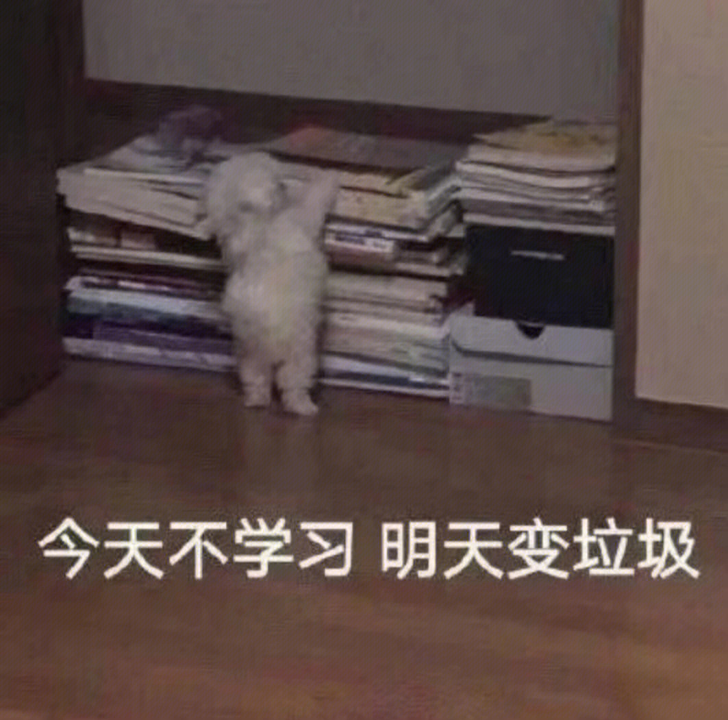 今天不学习明天变垃圾